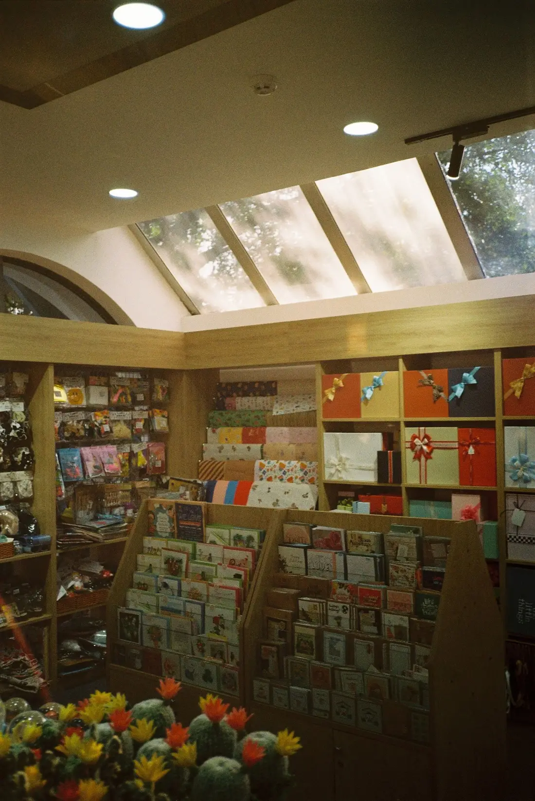 Gift shop with racks of greeting cards, wrapping paper, and gift boxes under a skylight